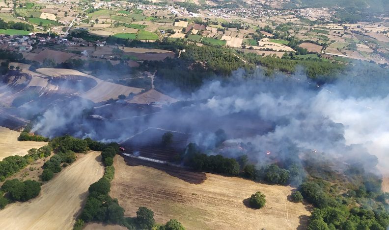 Çanakkale Çan’da orman yangını