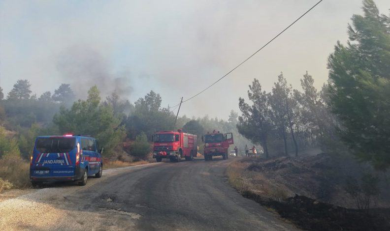 Manisa Kula’daki orman yangını kontrol altında
