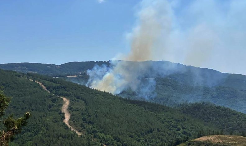 Çanakkale Biga’da orman yangını