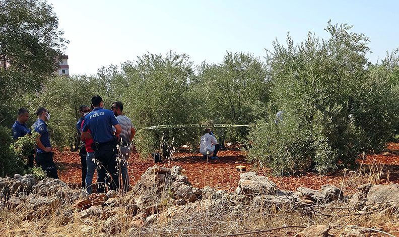 Antalya’da zeytinlik alanda 23 yaşındaki gencin cesedi bulundu