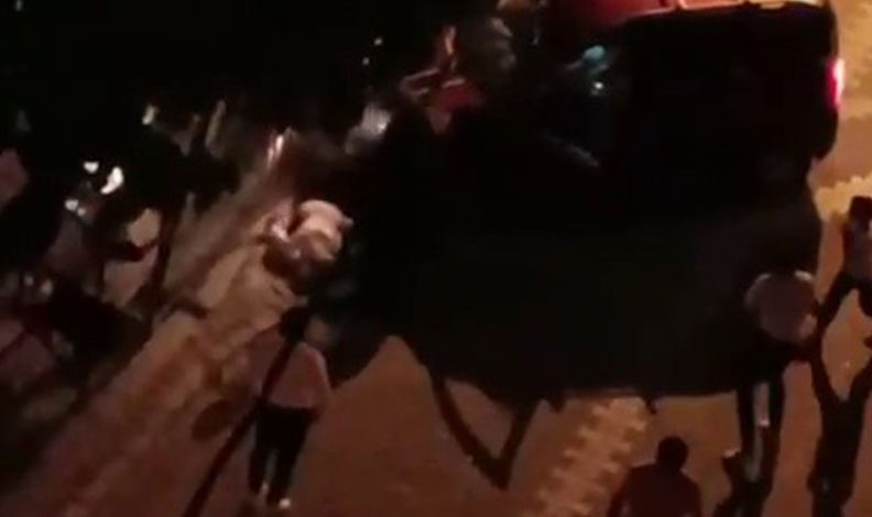 Acemi sürücü dehşet saçtı