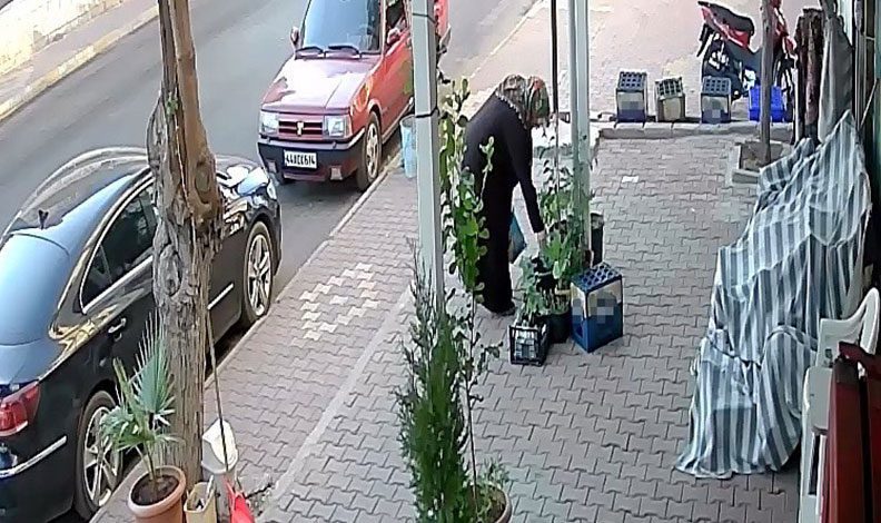 Önce suladı sonra kökünden sökerek çaldı