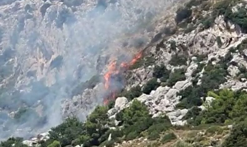 Marmaris’te makilik alanda yangın çıktı