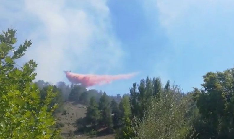 Antalya’daki orman yangını kısmen kontrol altında