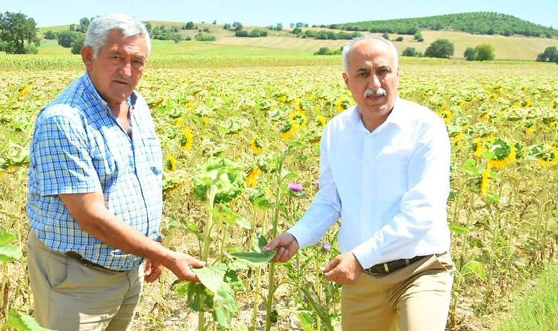 Çiftçiye sıfır faizli kredi üreticilere nefes aldıracak
