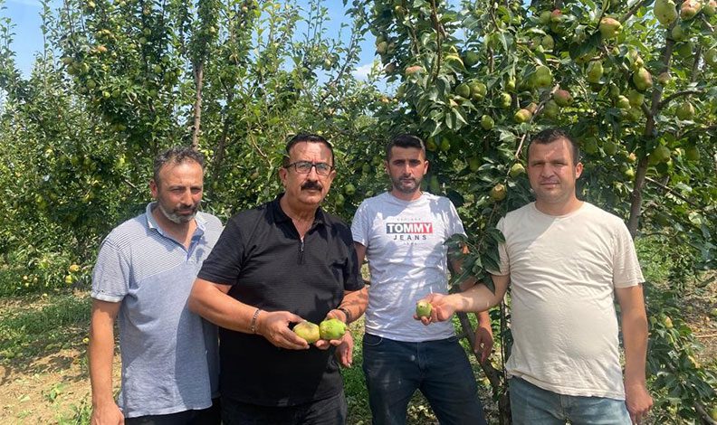 Bursa’da sağanak tarım ürünlerinde 30 milyon lira zarara yol açtı