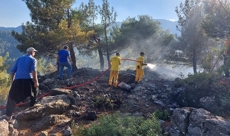Kahramanmaraş’ta ormanları yakan şüpheli yakalandı