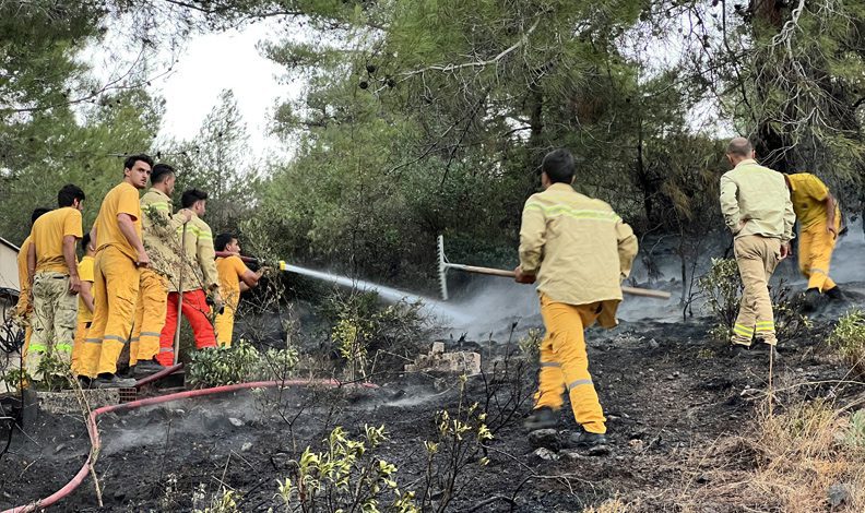 Hatay’da orman yangını evlere sıçramadan söndürüldü