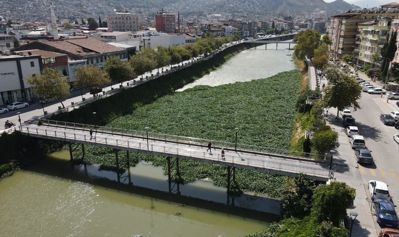 Asi Nehri’ni kaplayan su sümbülleri temizleniyor