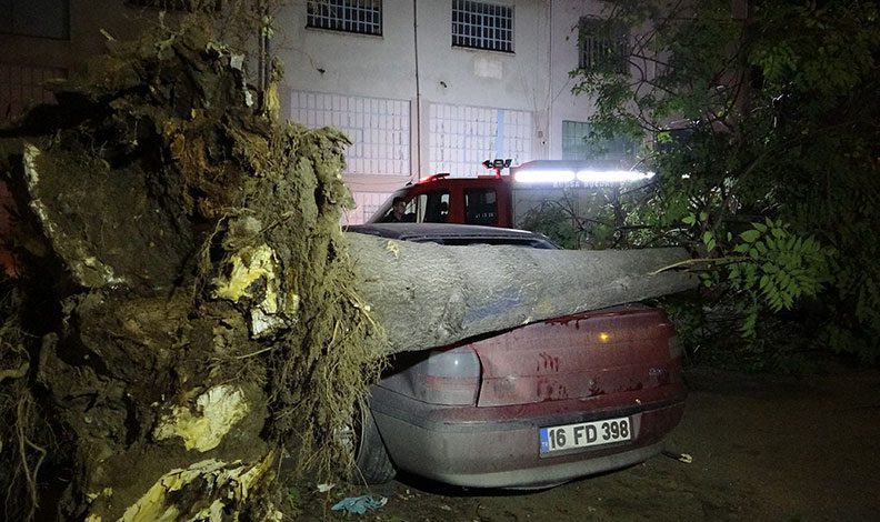 Bursa’da otomobillerin üzerine ağaç devrildi
