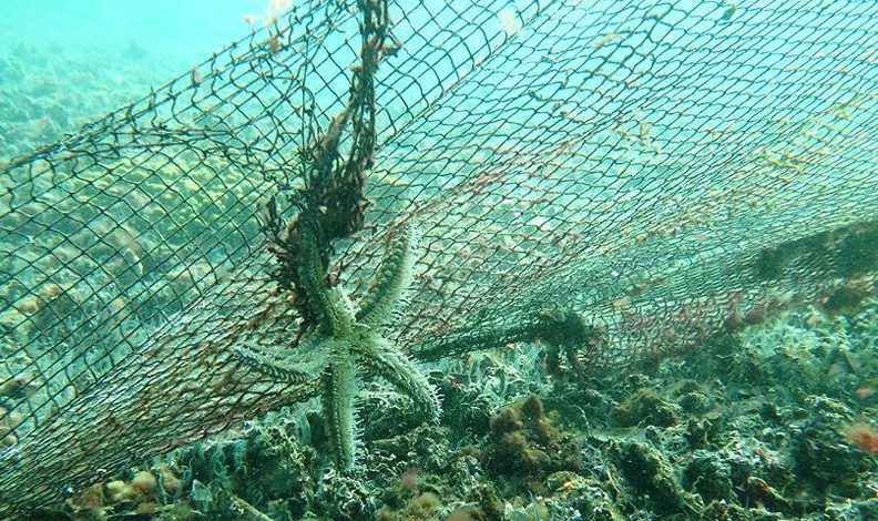 Marmara ve Ege’den 12 bin metrekare hayalet ağ çıkarıldı
