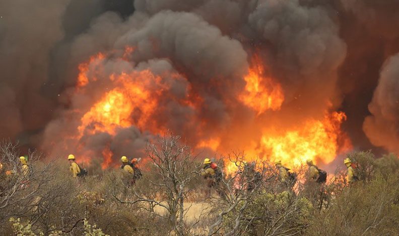 California’da orman yangınları sürüyor