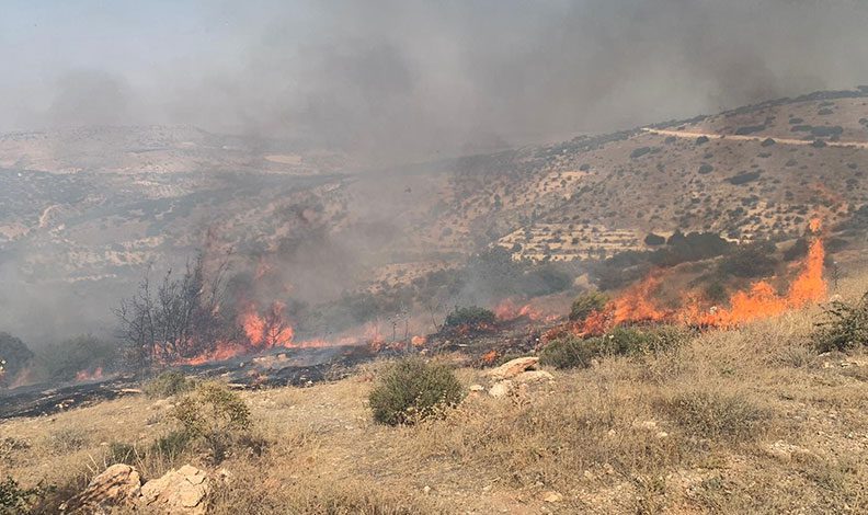 Gaziantep’te orman yangını