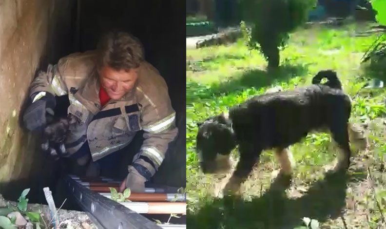 Bursa’da çukura düşen köpeği iftaiye kurtardı