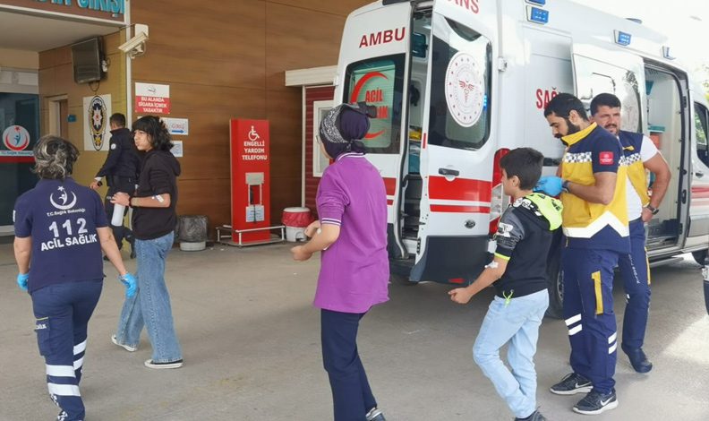 Bursa’da 15 öğrenciyi okulda arı soktu