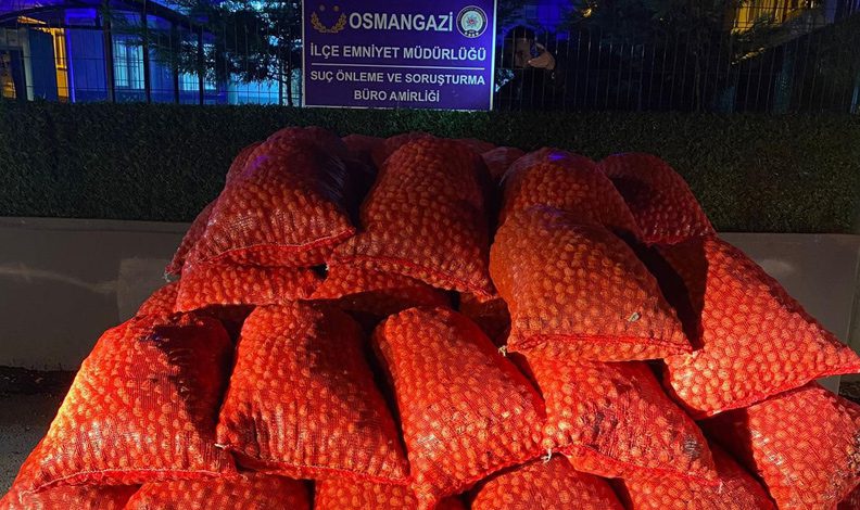 Bursa’da 3 tonluk ceviz dolandırıcılığı