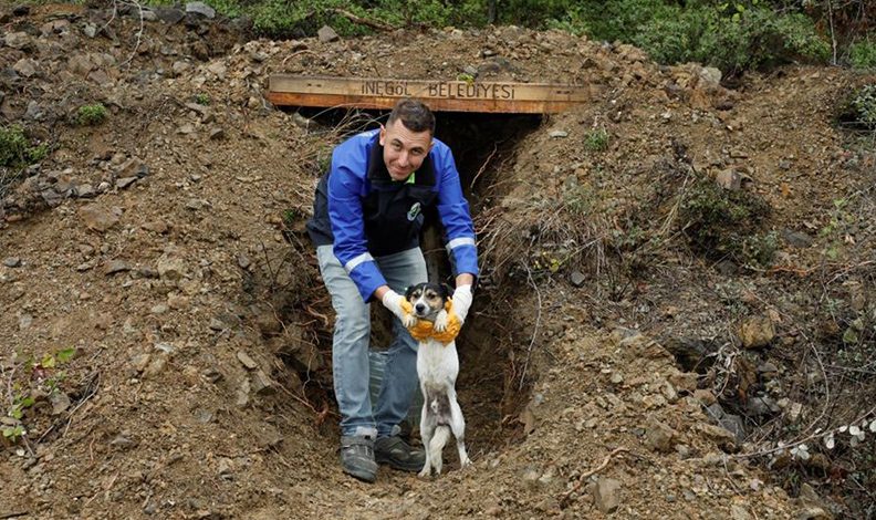 Sokak canları korunaklı yuvalara kavuştu