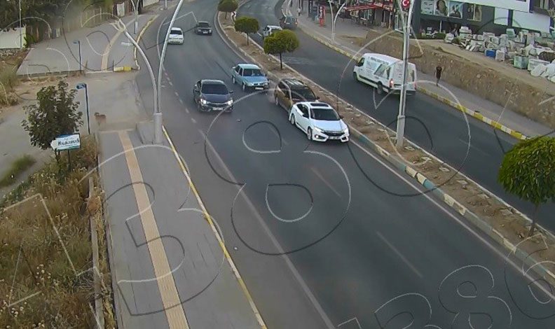 Tunceli’de yola çıkan köpek zincirleme kazaya neden oldu