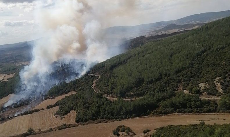 Çanakkale Gelibolu’daki orman yangını kontrol altında