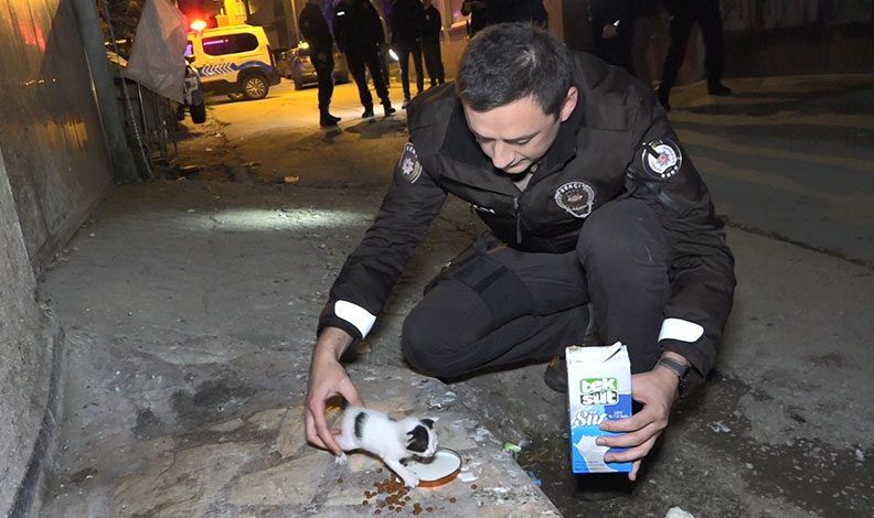 Hırsız sandılar kedi çıktı