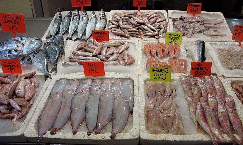 Balık fiyatları yarı yarıya düştü