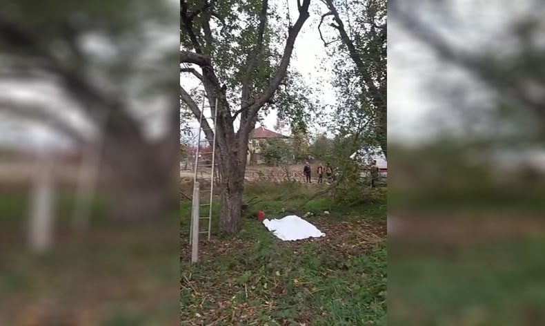 Feci kaza: kestiği ağaç sonu oldu