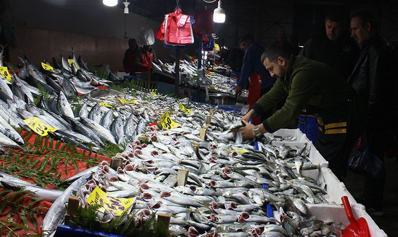 Hava soğudu, ‘çinekop’ bereketi yaşandı