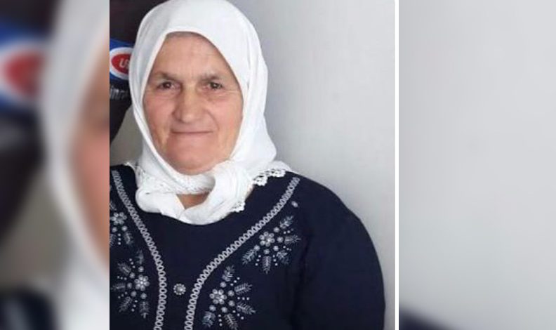 Kastamonu’da çalışmak için gittiği tarlada ölü bulundu