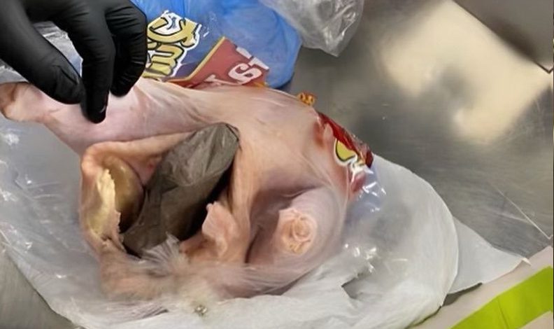 ABD’de havaalanında çiğ tavuğa gizlenmiş silah bulundu