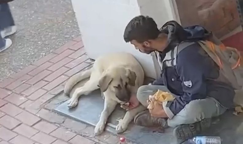 Yemeğini sokak köpeğiyle paylaşan genç viral oldu