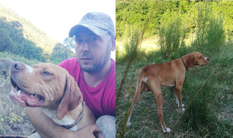Köpeğini getirene kuzu hediye edecek