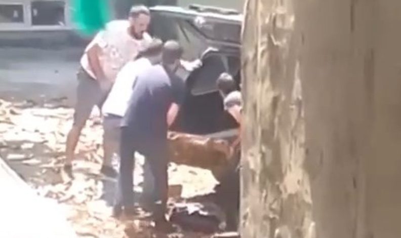 Bursa’da otomobille mazgal hırsızlığı