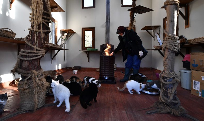 Bursa’daki kedi villalarında sobalar yanmaya başladı
