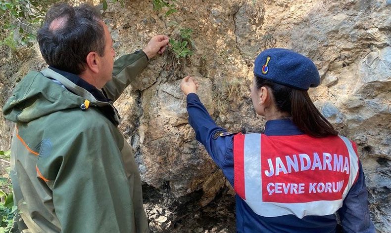 Jandarmadan “endemik tür” devriyesi