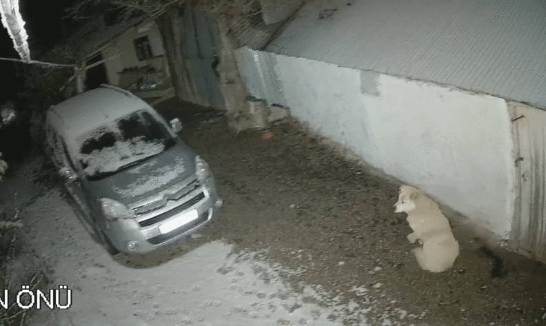 Depreme uykusunda yakalandı