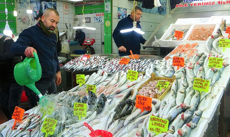 Balık tezgahları çinekop ile şenlendi