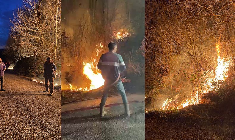 Sakarya’da ormanlık alanda çıkan yangın söndürüldü