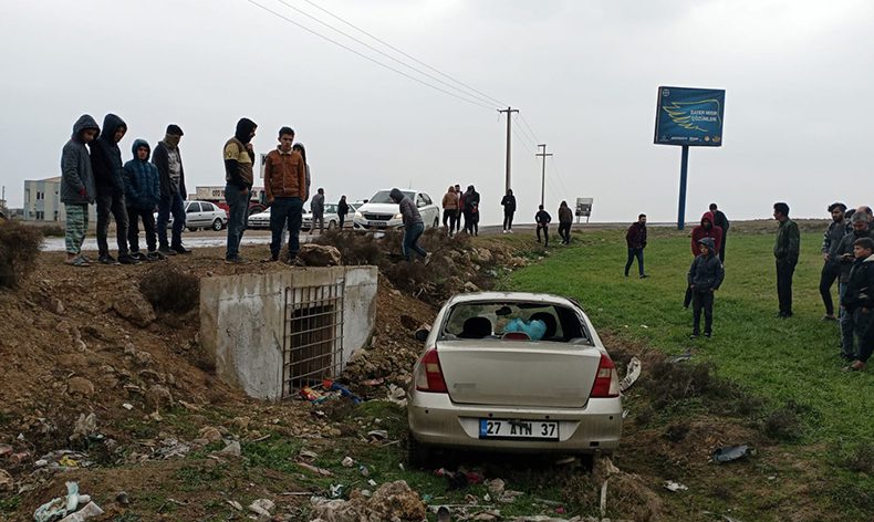 Mardin’de otomobil yol kenarına uçtu