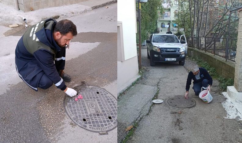 Osmangazi’de haşerelere karşı ilaçlama yapıldı