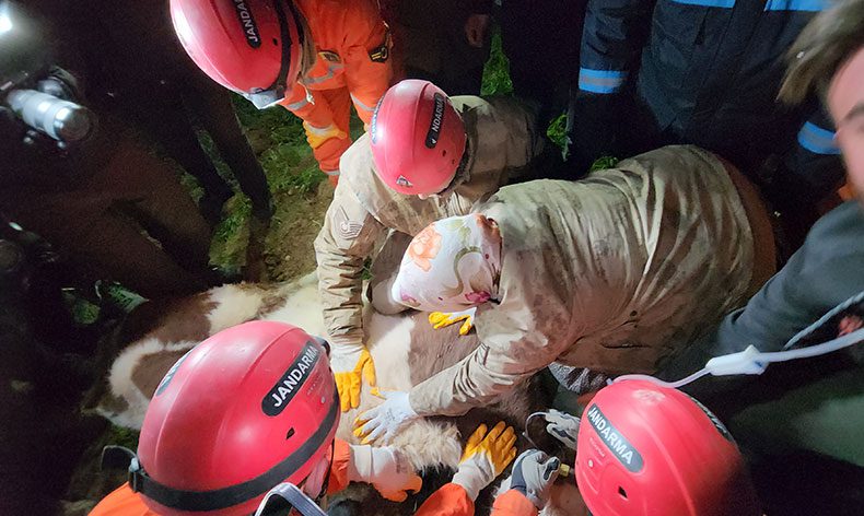 11 gün sonra Bircesine kavuştu