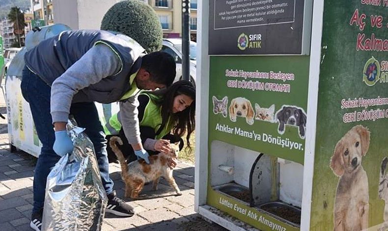 Deprem bölgesindeki sokak hayvanları unutulmadı