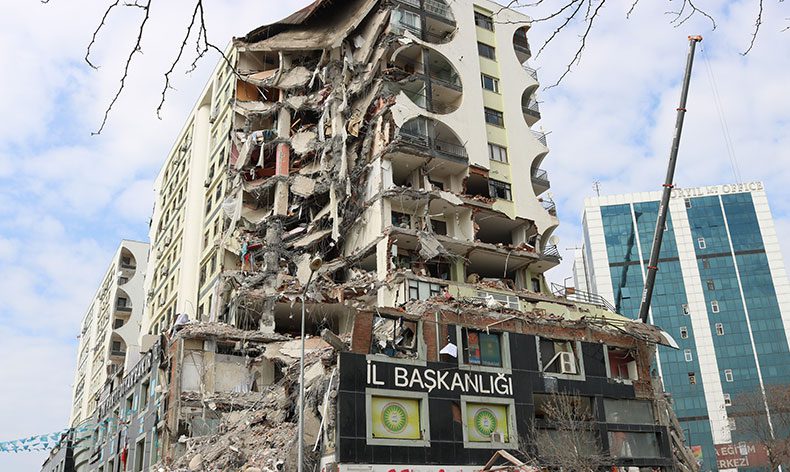7 kediden 6’sı sahibine teslim edildi