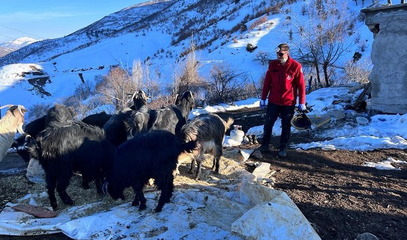 25 hayvan enkaz altından sağ çıkarıldı