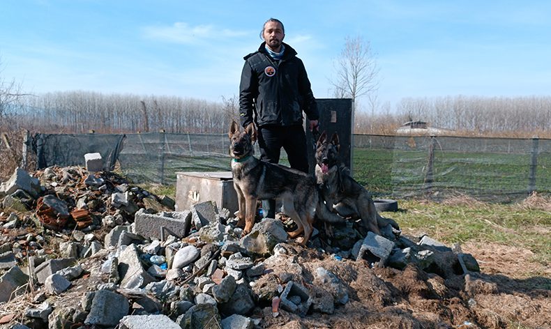 Hayat kurtaran köpekler böyle yetişiyor