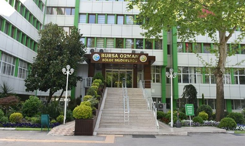 21 Mart Dünya Ormancılık Günü