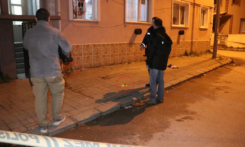 Tüfekle ateş edip kayıplara karıştı