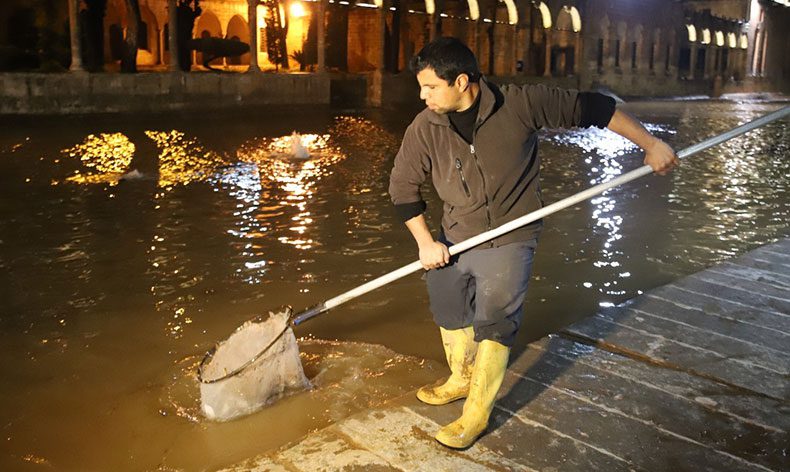 Balıklıgöl suyu normale dönüyor