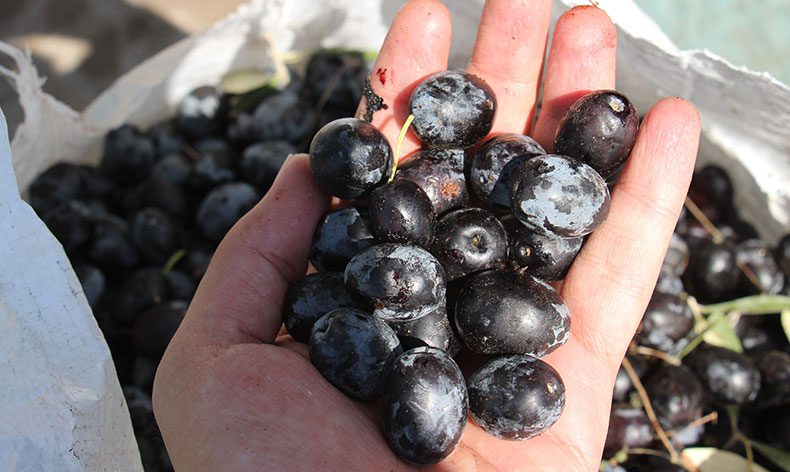 20 bin liraya hamal,30 bin liraya usta bulamıyor