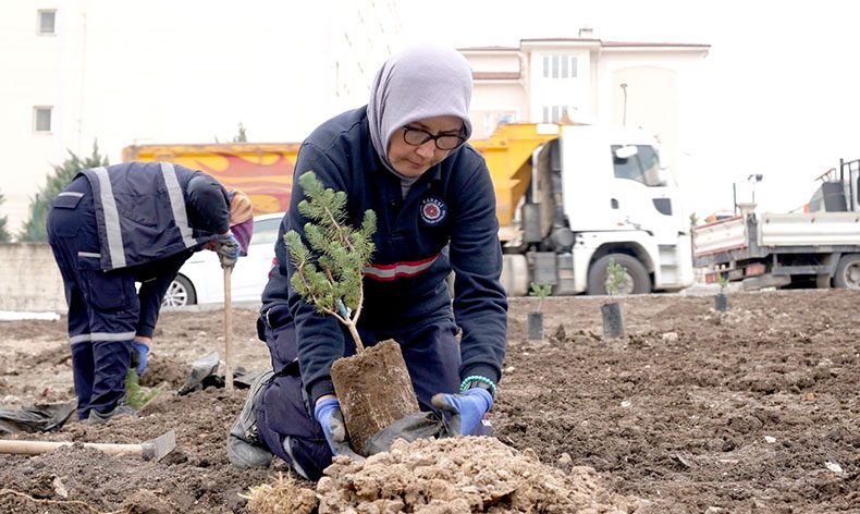 Kişi başı 25 metrekare yeşil alan