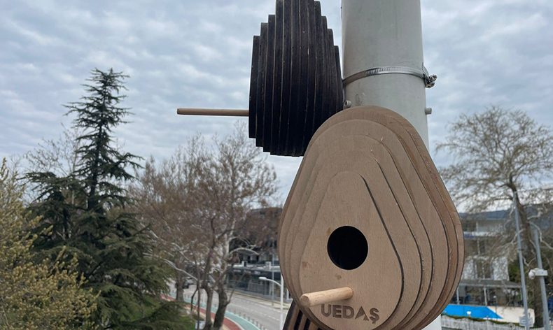 Sokak lambalarına kuşlar için yuva